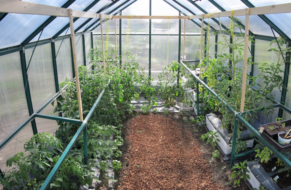 Community Greenhouse