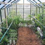 Community Greenhouse