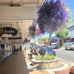 Hanging Baskets