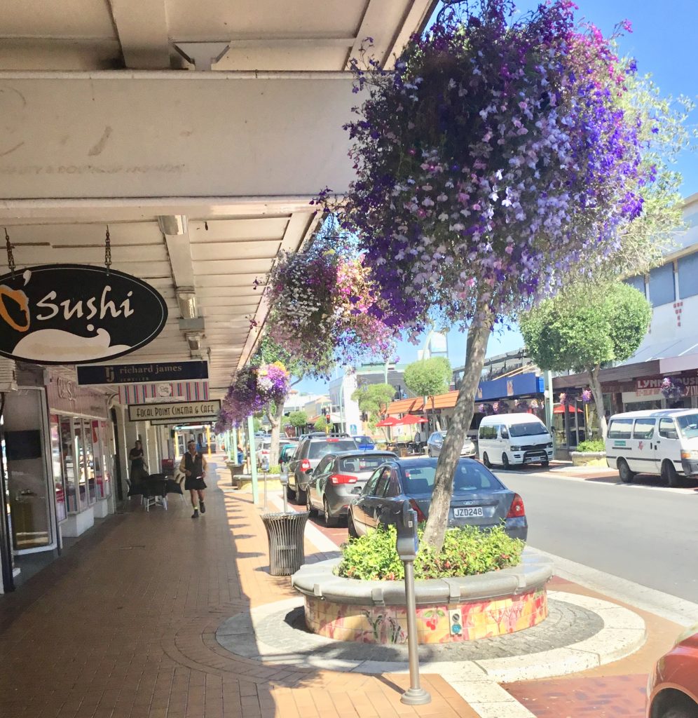 Hanging Baskets