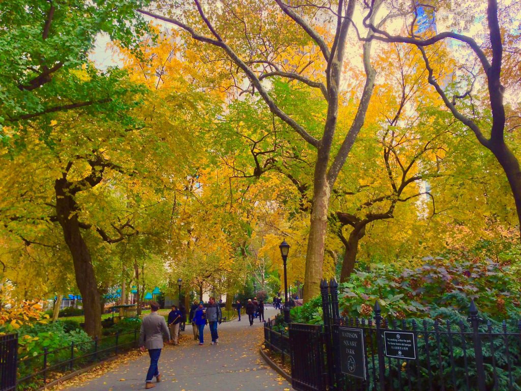 Urban Open Space (Madison Square Park)