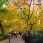 Urban Open Space (Madison Square Park)