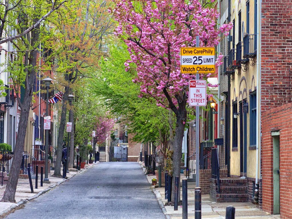 Streetside Trees