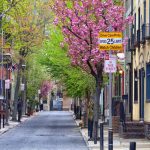 Streetside Trees