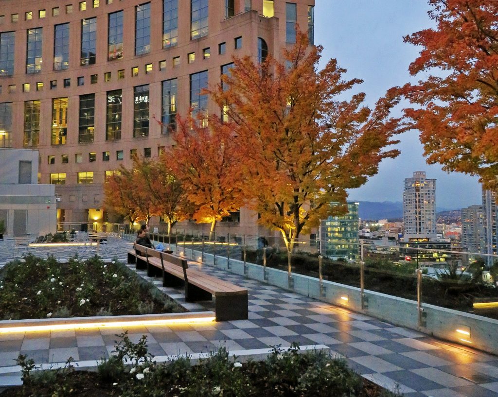 Rooftop Garden