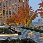 Rooftop Garden