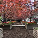 Urban Garden