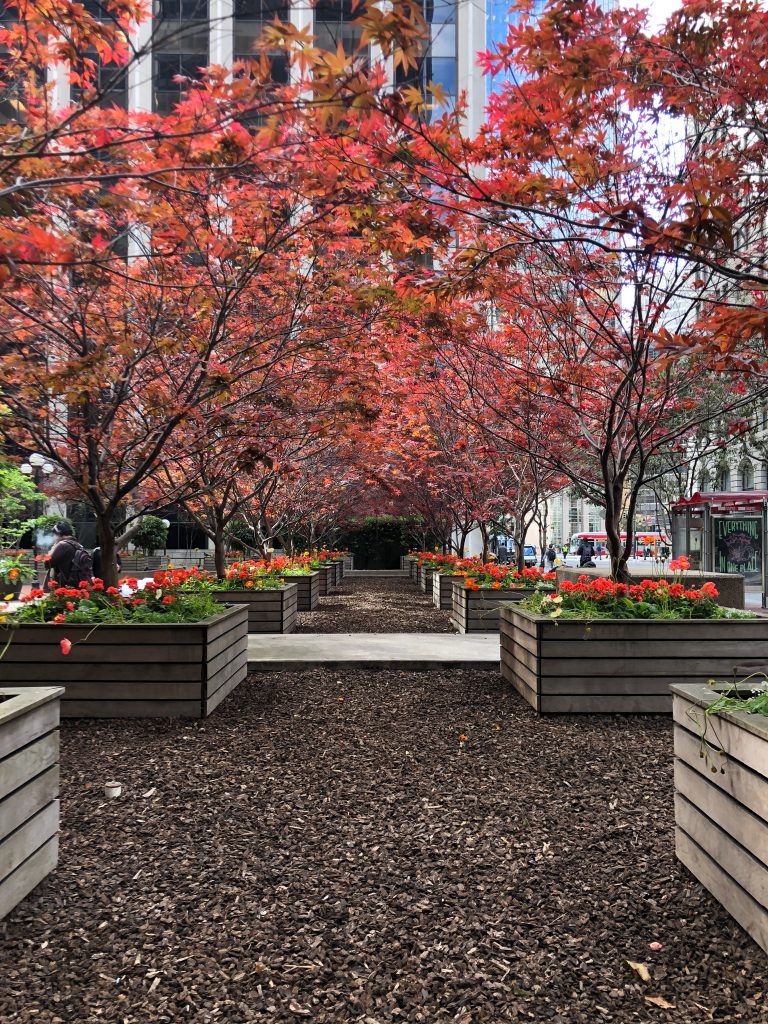 Urban Garden