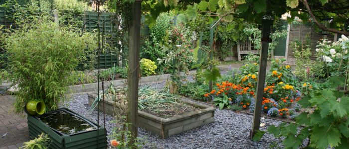 Garden with Trees