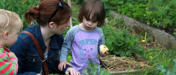 Family Gardening