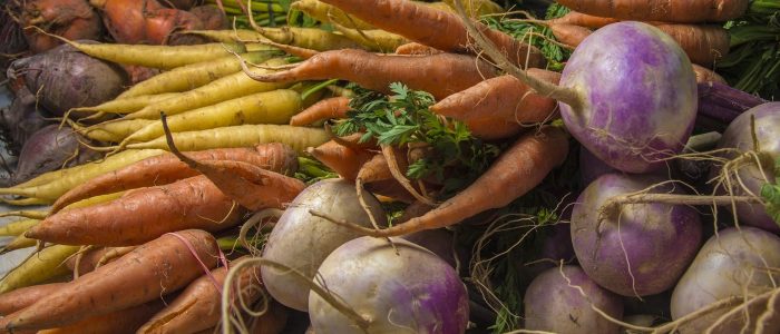 Vegetable Harvest