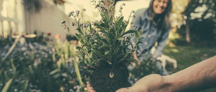 Happily Gardening